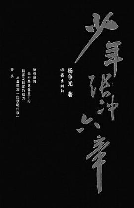 少年张冲六章