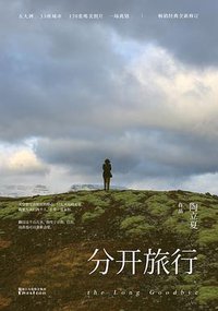 分开旅行 (2017)