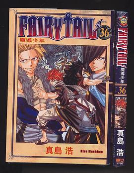 Fairy Tail 魔导少年 36