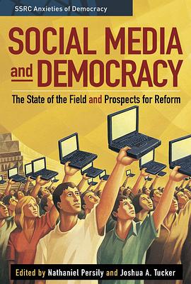 Social Media and Democracy