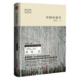 中国在梁庄