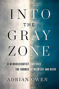Into the Gray Zone (Scribner 2017)