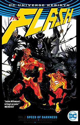The Flash Vol. 2
