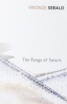 The Rings Of Saturn