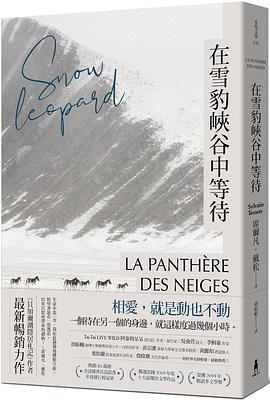 在雪豹峽谷中等待