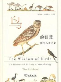 鸟的智慧