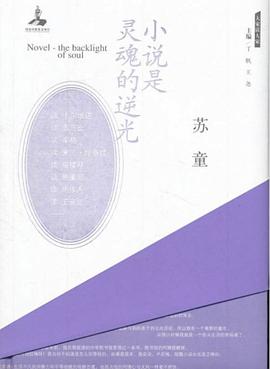 小说是灵魂的逆光