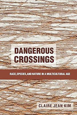 Dangerous Crossings