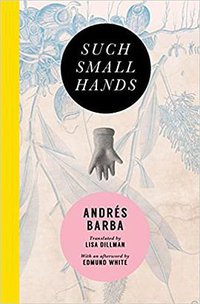 Such Small Hands (Transit Books 2017)