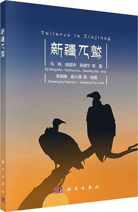 新疆兀鹫