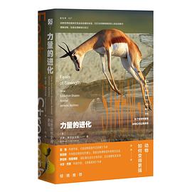 力量的进化