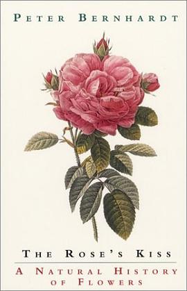 The Rose's Kiss