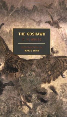 The Goshawk