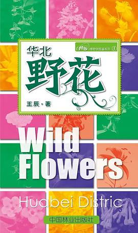 华北野花
