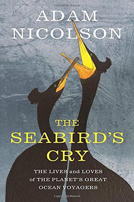 The Seabird's Cry