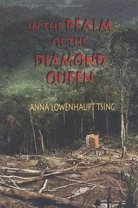 In the Realm of the Diamond Queen (Princeton University Press 1993)