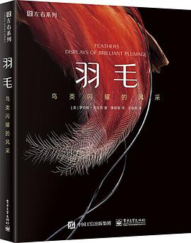 羽毛