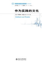 作为实践的文化 (2009)