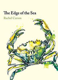 The Edge of the Sea (Unicorn Press Ltd 2015)