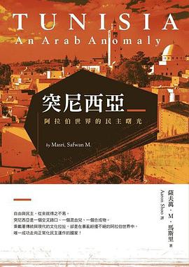 突尼西亞:阿拉伯世界的民主曙光