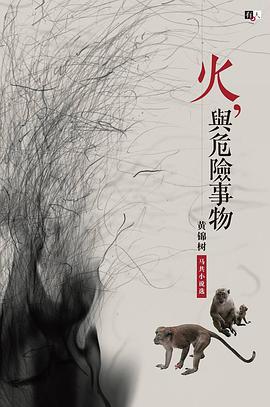 火，與危險事物：黃錦樹馬共小說選