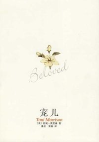 宠儿 (南海出版公司 2006)