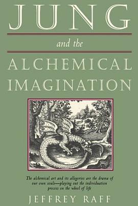 Jung and the Alchemical Imagination (Jung on the Hudson Book Series)