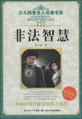 非法智慧