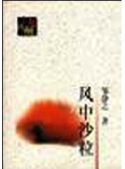 风中沙粒