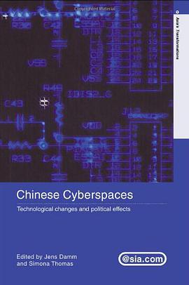 Chinese Cyberspaces