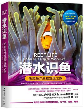 潜水识鱼