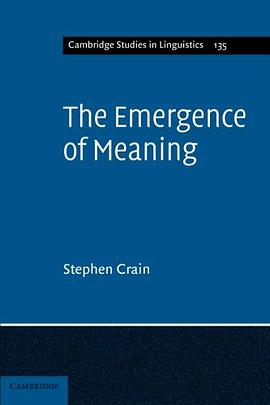 The Emergence of Meaning