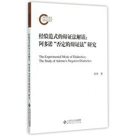 经验范式的辩证法解读
