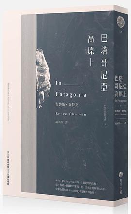 巴塔哥尼亞高原上