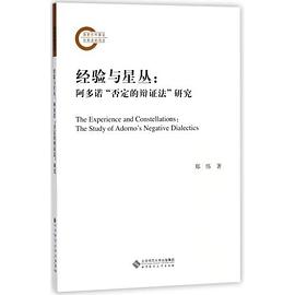 经验与星丛