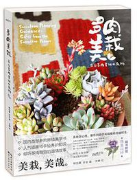 多肉美栽