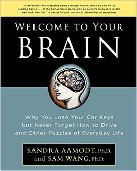 Welcome to Your Brain