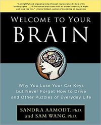 Welcome to Your Brain