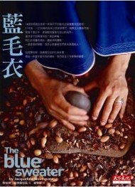 藍毛衣 (天下文化 2010)