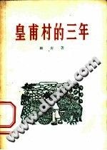 皇甫村的三年