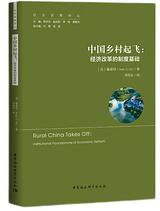 中国乡村起飞 (2021)