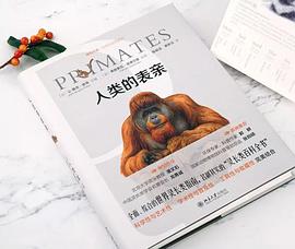 人类的表亲