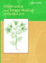 Observation and Image-Making in Gothic Art