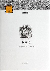 双城记 (2014)