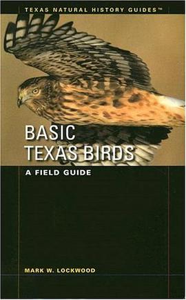 Basic Texas Birds
