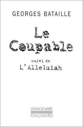 Somme athéologique, II