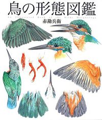 鳥の形態図鑑 (偕成社 2008)