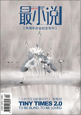 最小说2008.12