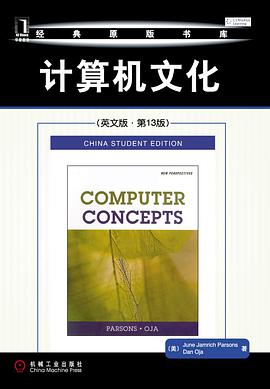 计算机文化