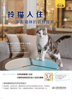 拎猫入住